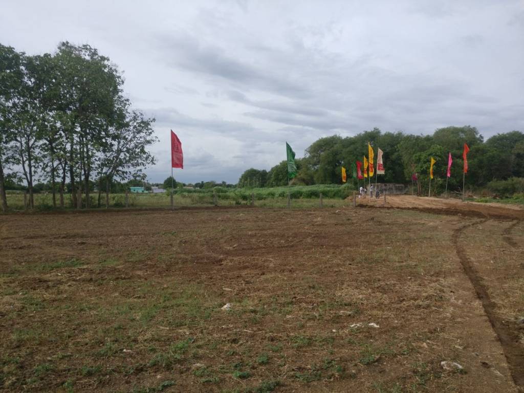 Images for Main Other of Srika Western