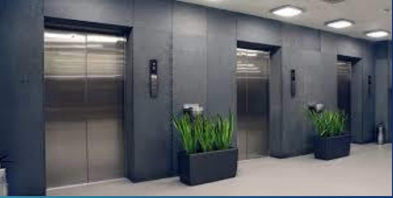  paradise Lift Available