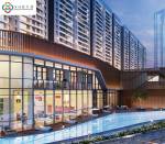 Images for Project jp-north-phase-5-euphoria Images for Project