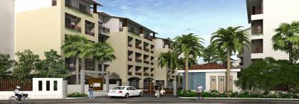 Images for Elevation of Mark Nautilus Cosmos Images for Elevation of Mark Nautilus Cosmos