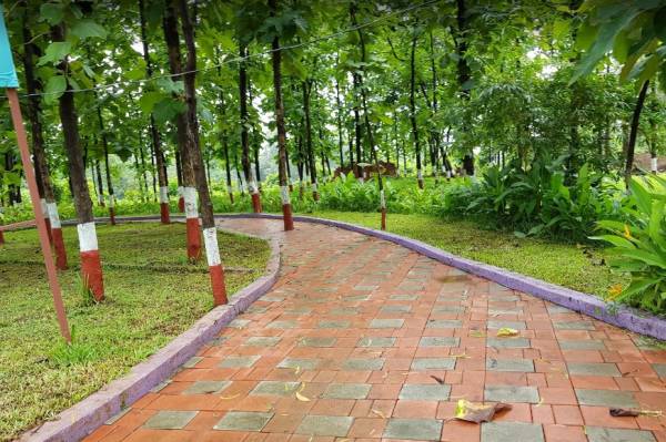 wollywood-phase-iv Jogging Track