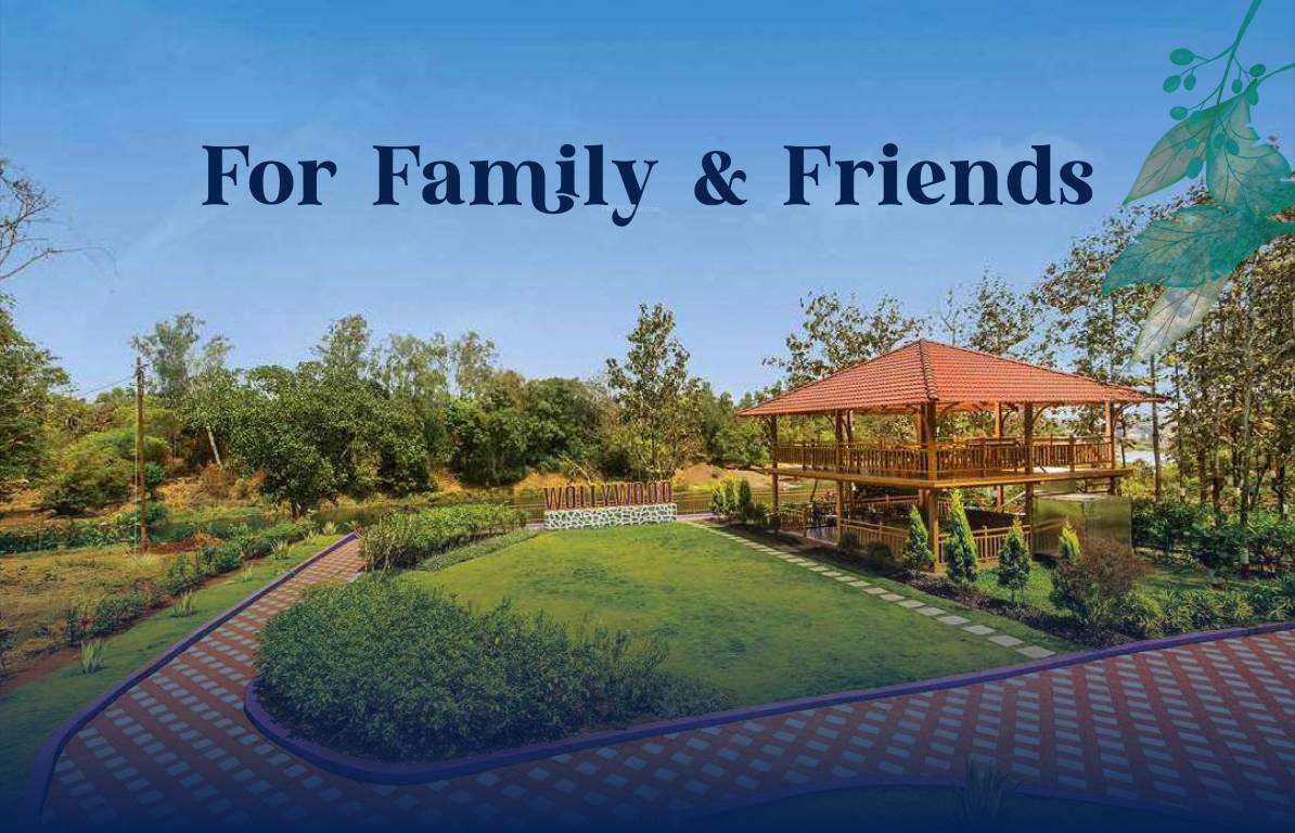  wollywood phase iv Others