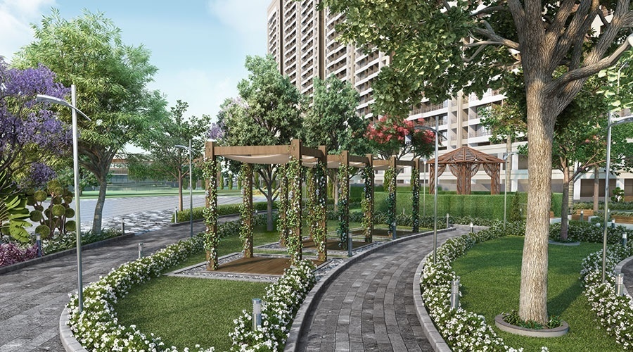  north phase 6 alexa Others