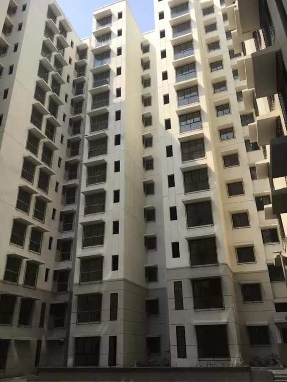  orchid a to l Images for Project