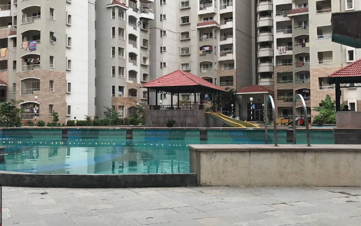  springfields Swimming Pool