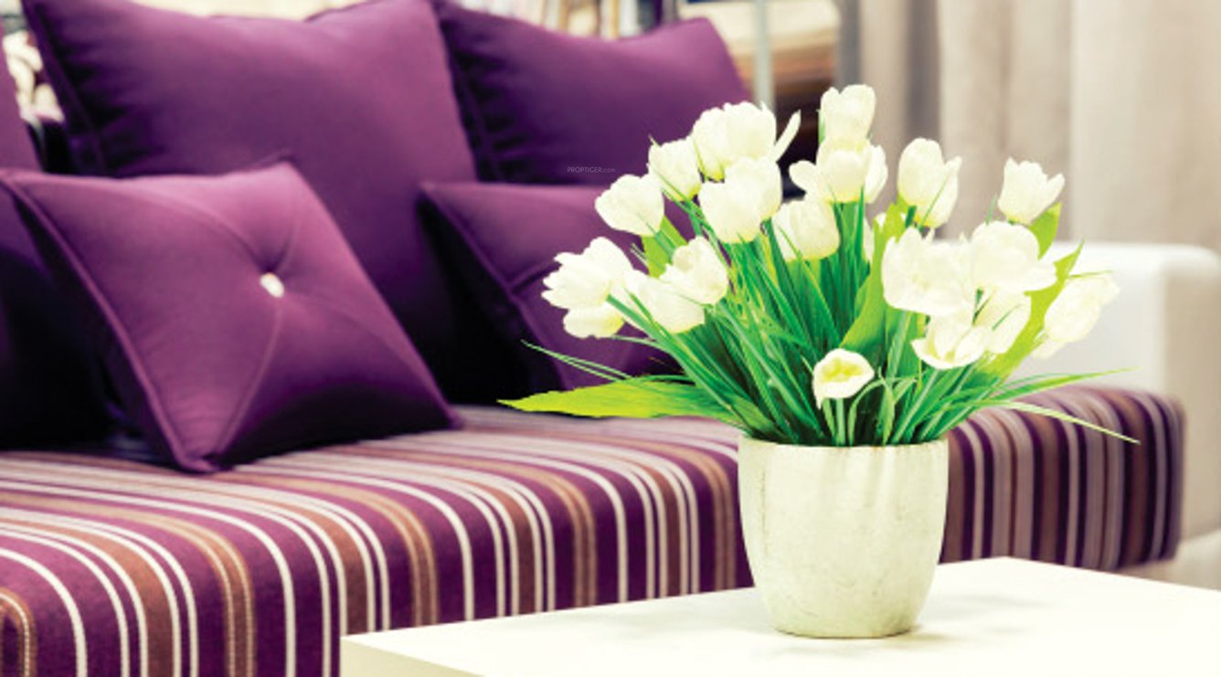 Images for Main Other of Shiva Shakthi Springfields