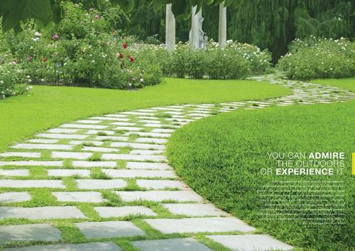  wing-d Landscape Garden and Tree Planting