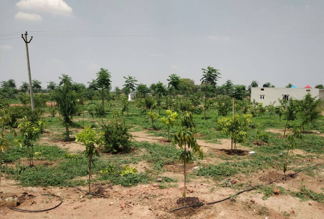 Images for Main Other of Vardhan Prakruthi Vanam