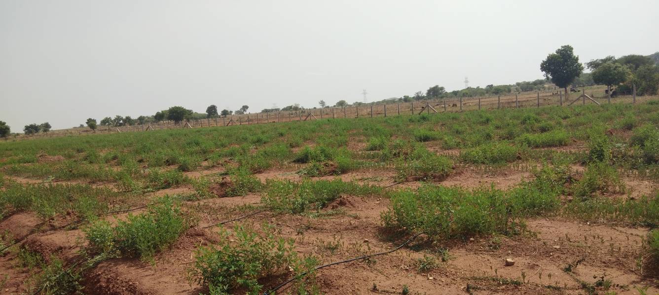 Images for Main Other of Vardhan Prakruthi Vanam