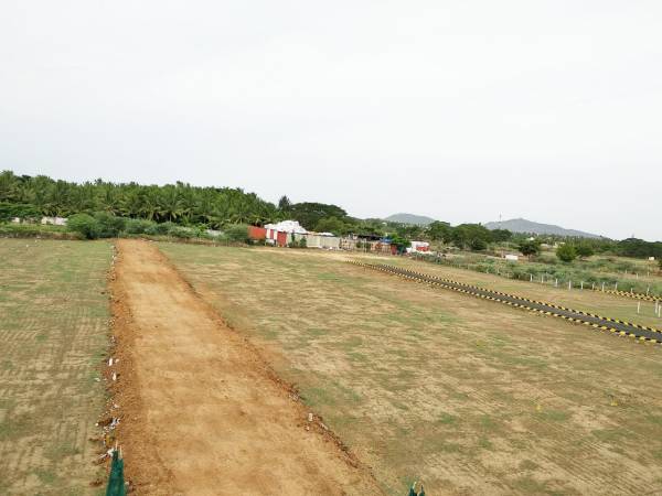 Images for Main Other of VIP Urban Meadows