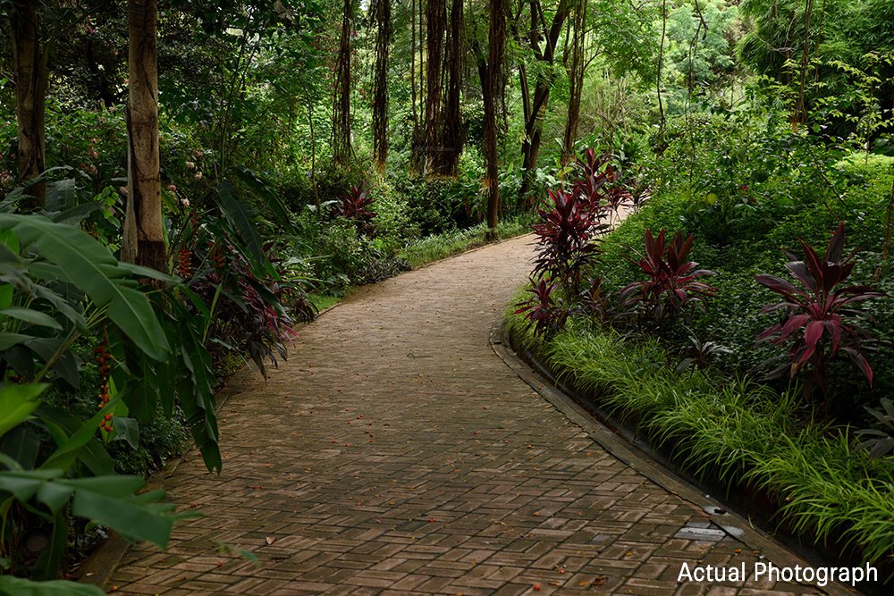  phase ii frangipani villas Others