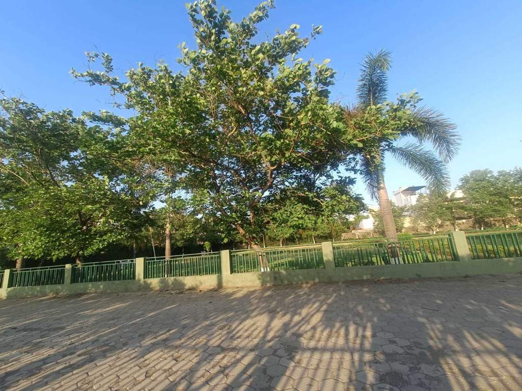  shri radha krishna residency phase ii Landscaped Gardens