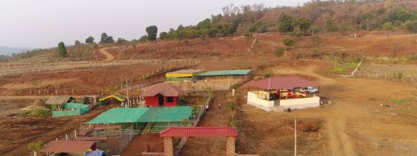 Images for Amenities of Greenland The Sun Valley