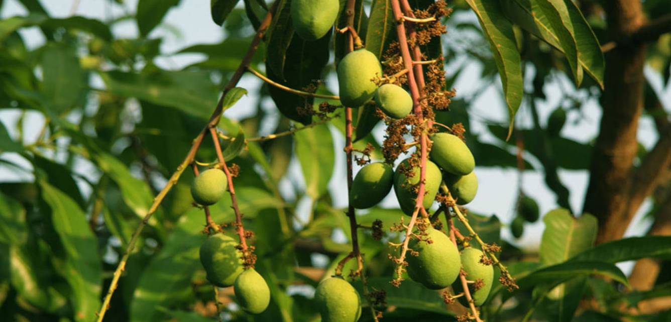 Images for Amenities of Greenland The Sun Valley