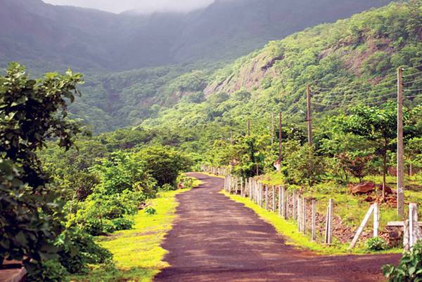 Images for Amenities of Greenland The Sun Valley