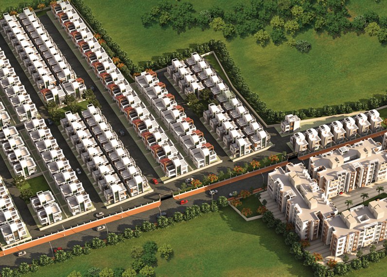  convicity plots Others