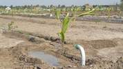 Farm Land