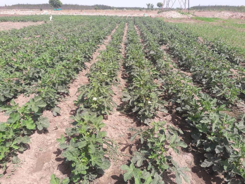 Images for Main Other of Kingmakers Farm Land