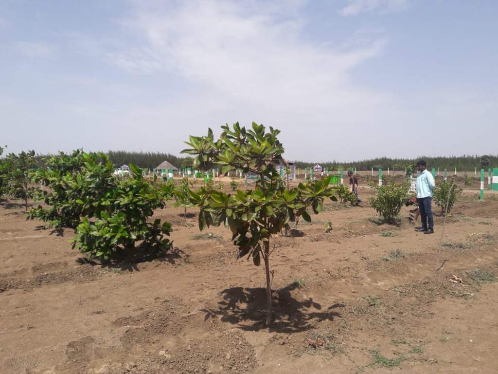Images for Main Other of Kingmakers Farm Land