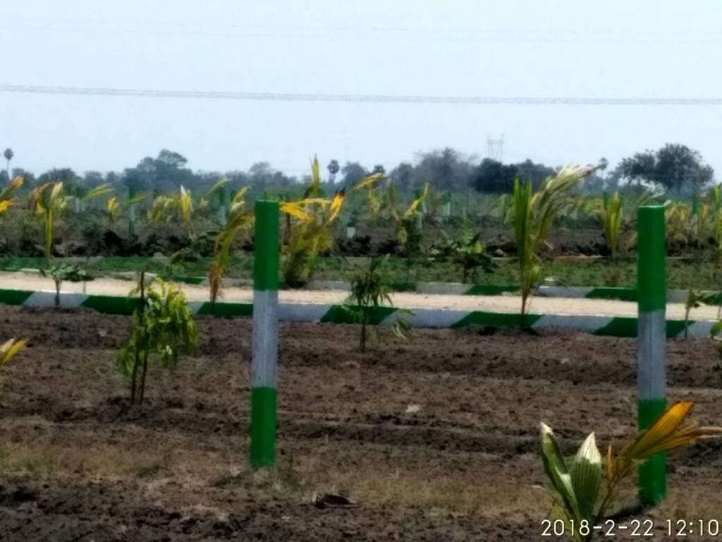 Images for Main Other of Kingmakers Farm Land