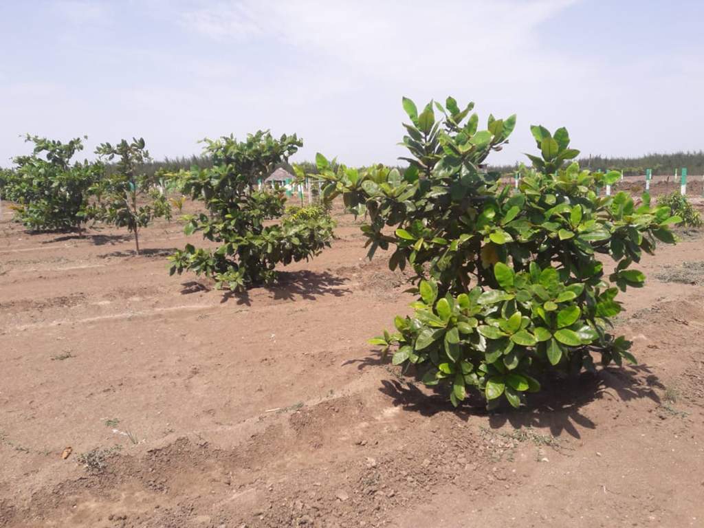 Images for Main Other of Kingmakers Farm Land