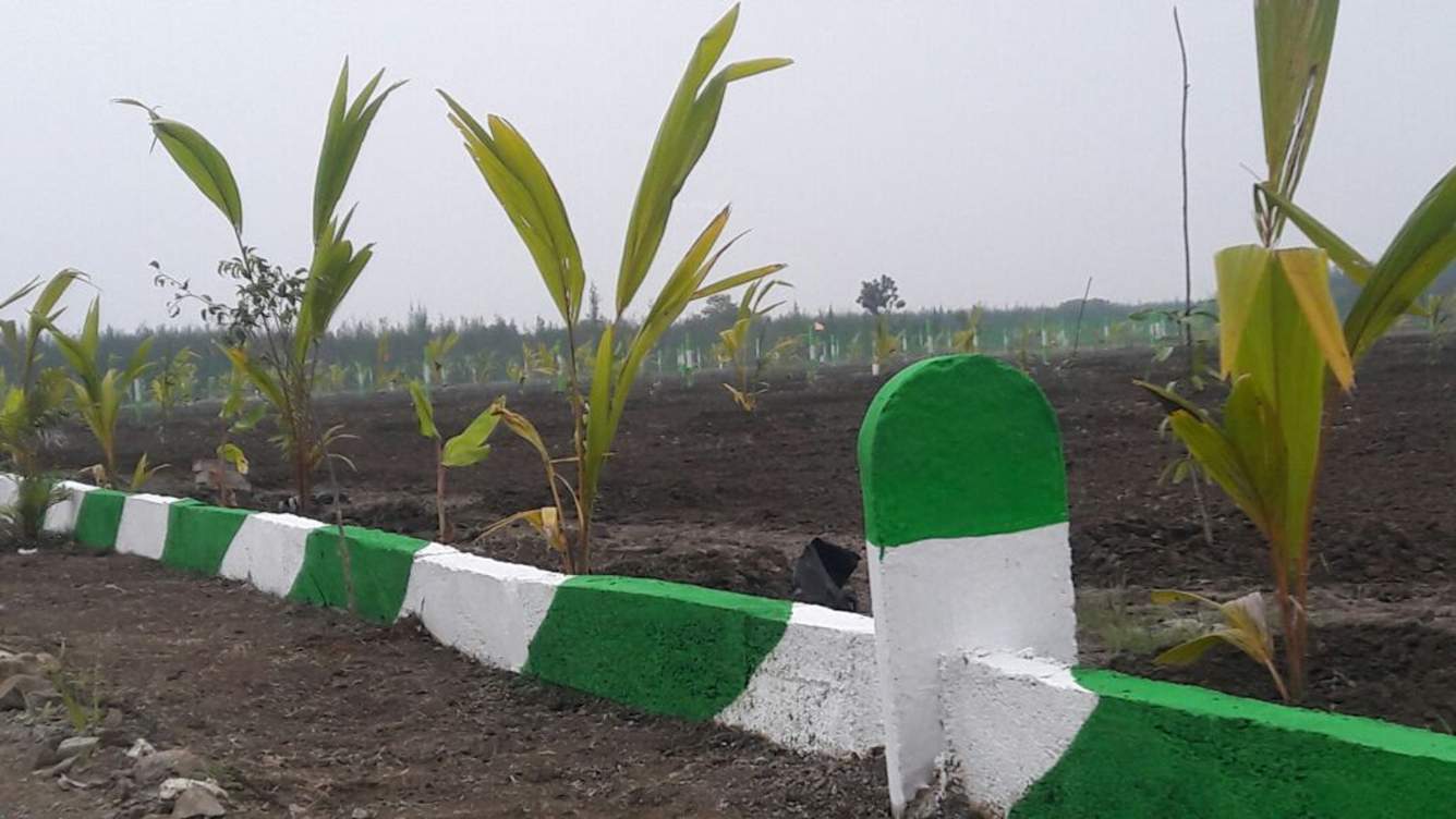 Images for Main Other of Kingmakers Farm Land