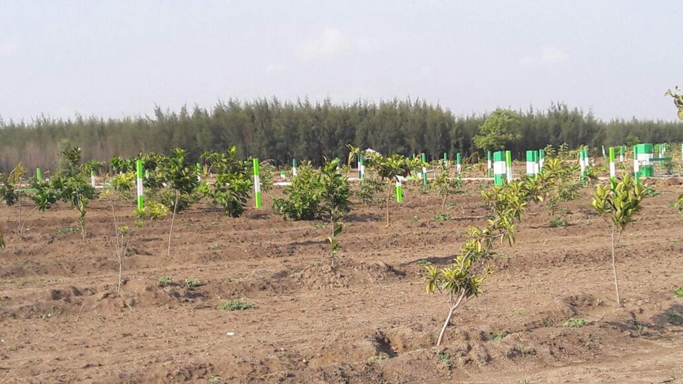 Images for Main Other of Kingmakers Farm Land