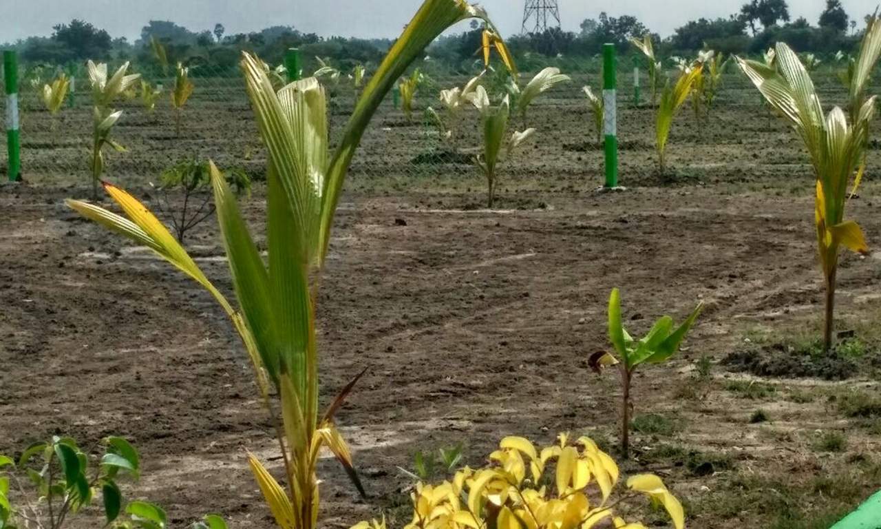Images for Main Other of Kingmakers Farm Land