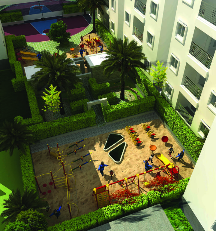  golden oriole Children's play area