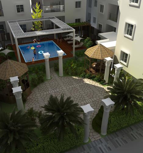  golden-oriole Swimming Pool