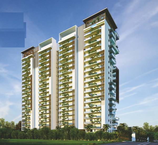  le-grandiose Elevation