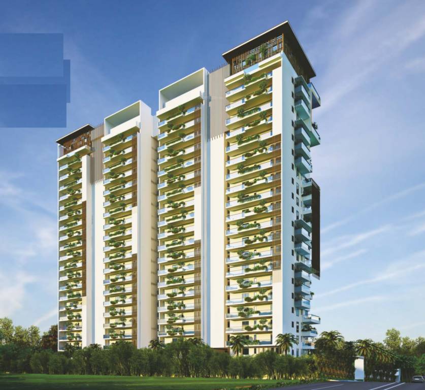  le grandiose Elevation