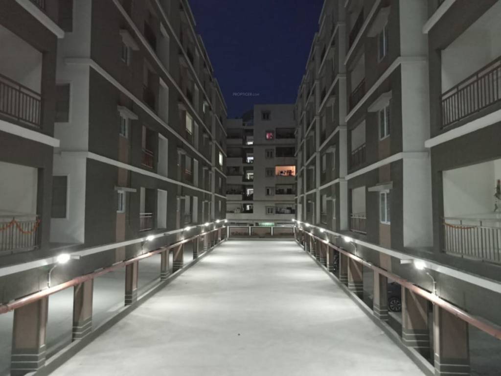  solitaire pride Elevation