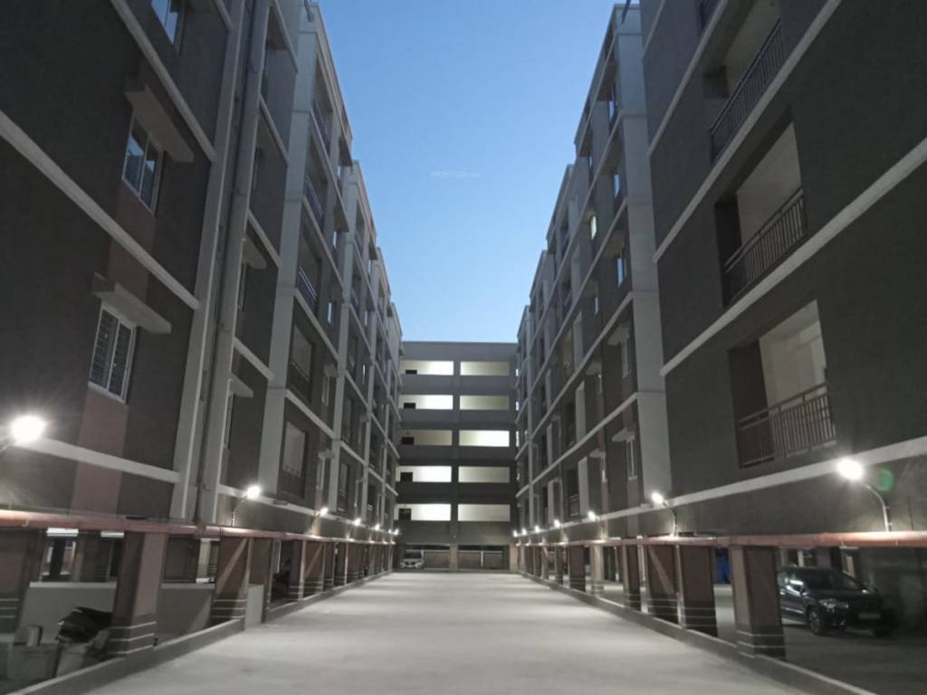  solitaire pride Elevation