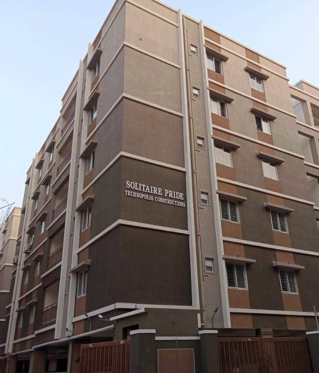  solitaire pride Elevation