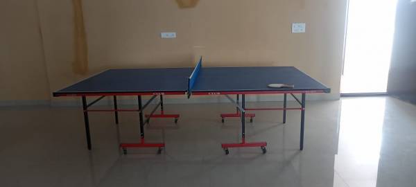  solitaire-pride Table Tennis