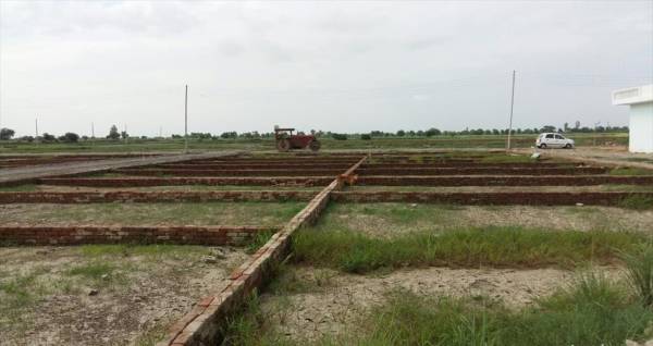 Images for Main Other of Shy Whales Sky Land