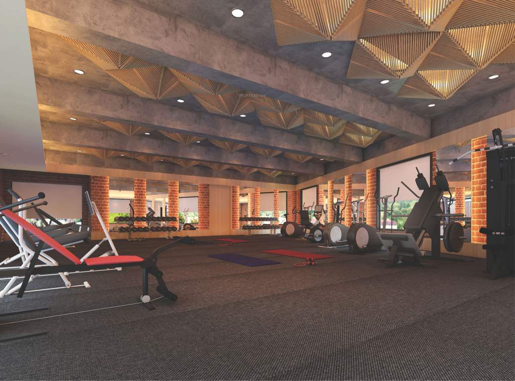  clublife Gymnasium