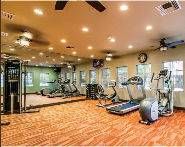  orbis-phase-1 Gymnasium