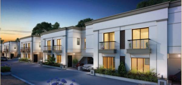  taksh-divine Elevation