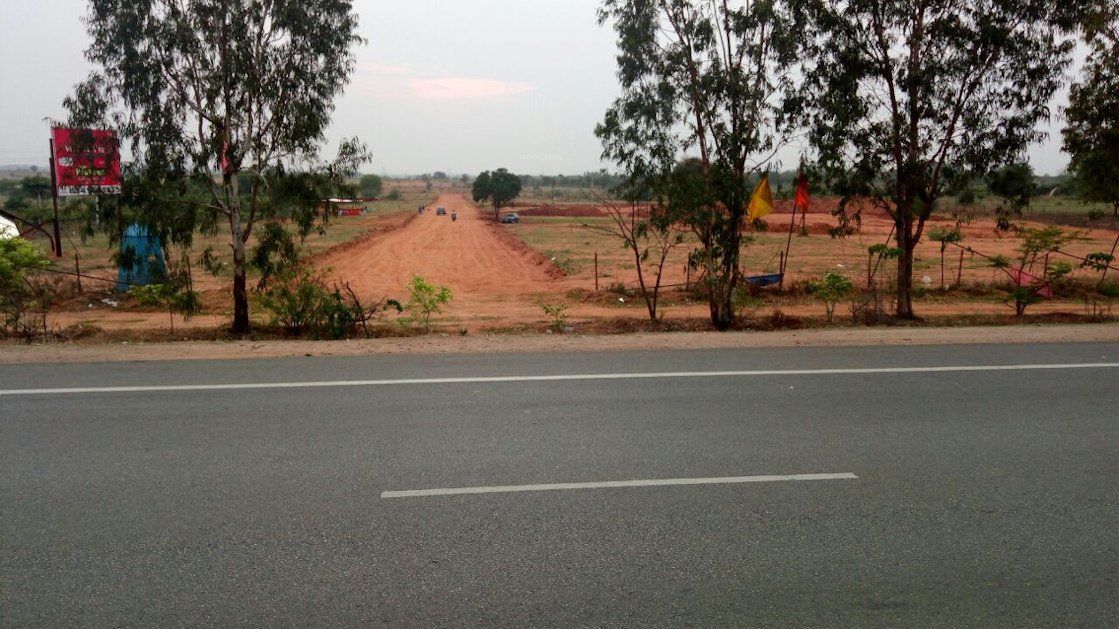  white field Elevation