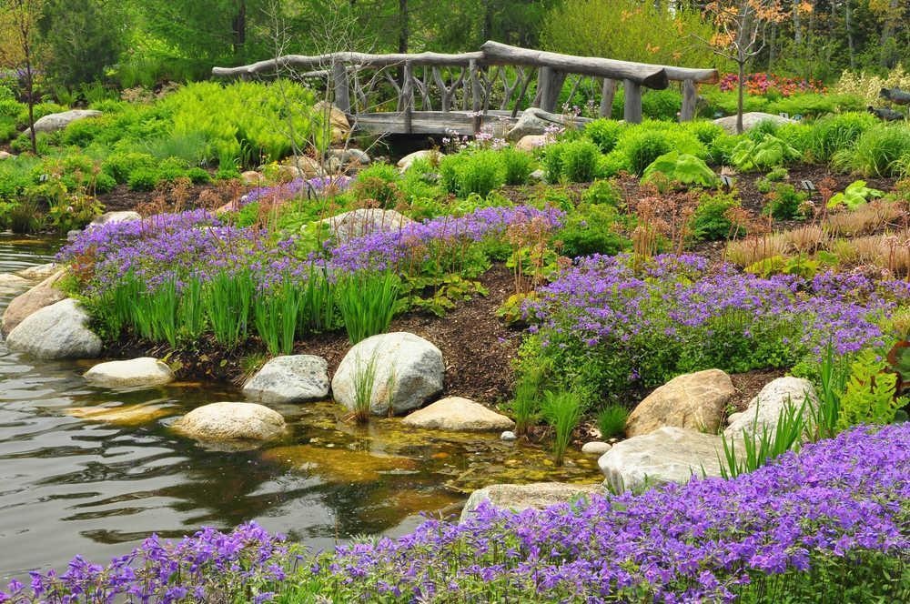 Images for Amenities of Incor Carmel Heights