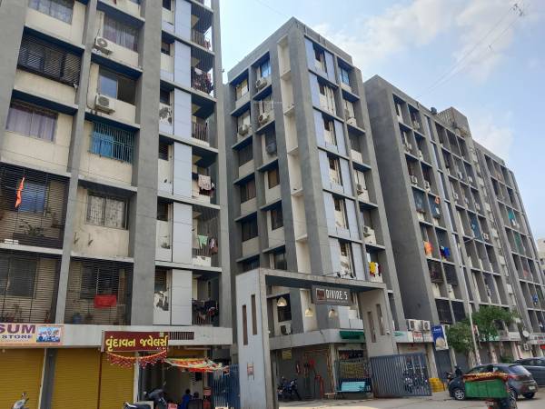 main of Sun Divine 5