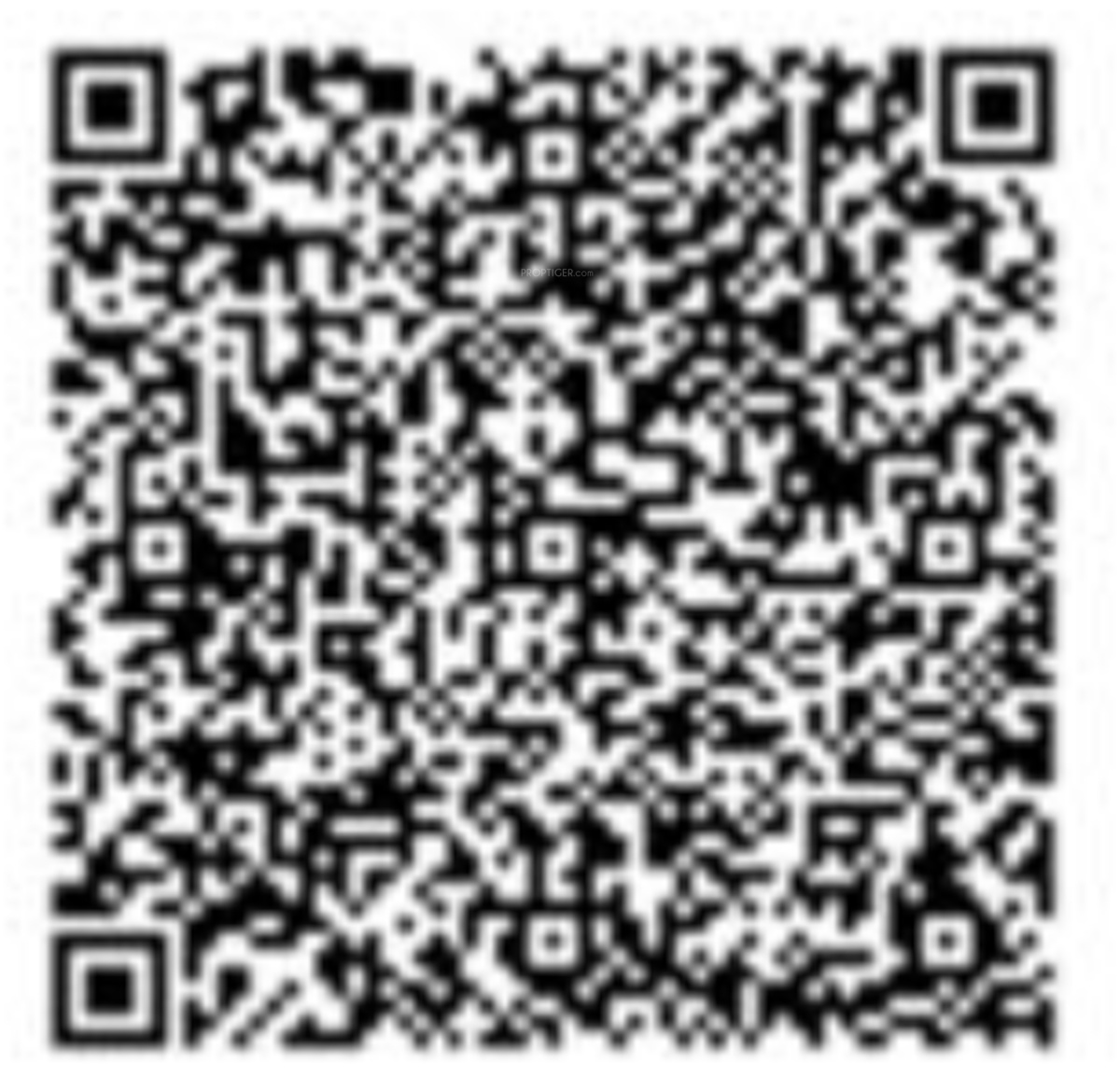 QR Image