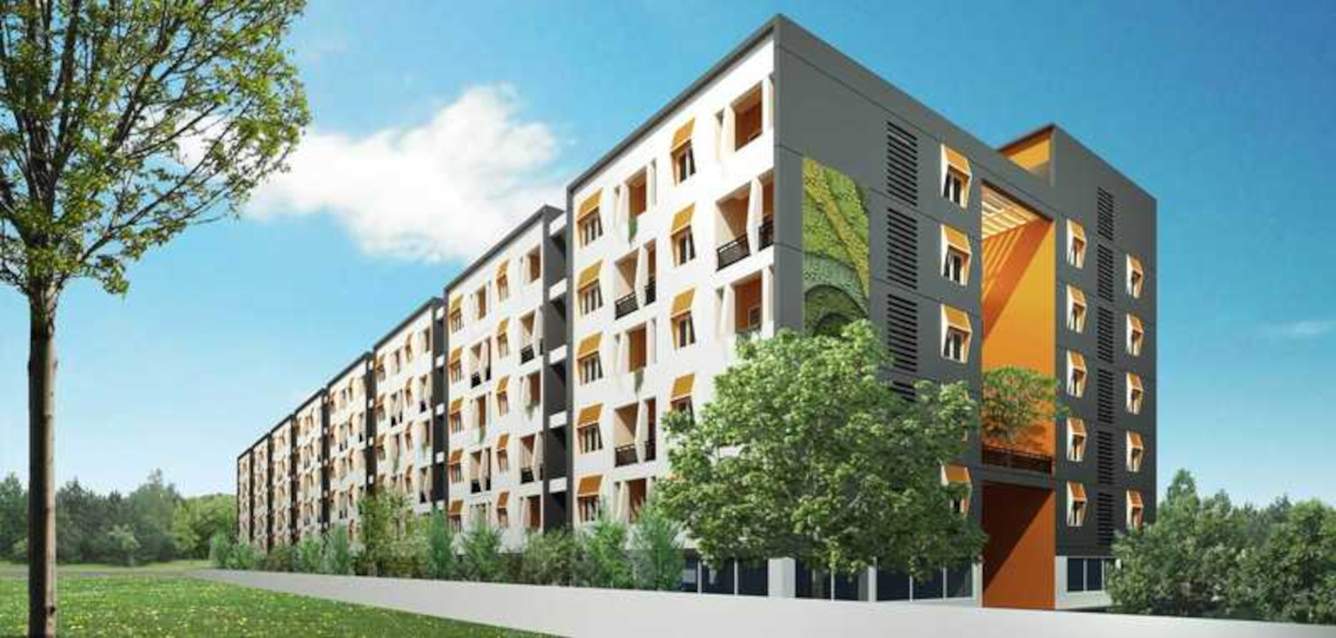  royal town Elevation