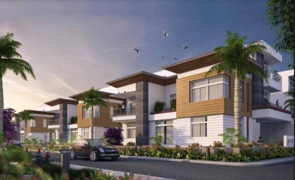 Others orchid-piccadilly Others