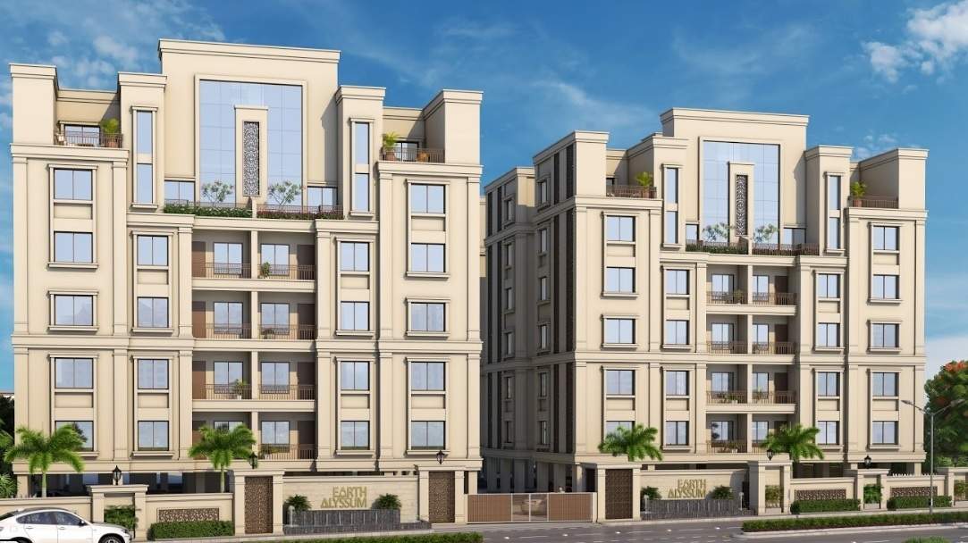  earth allyssum Elevation