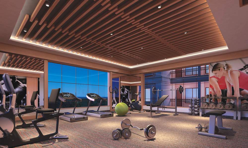  earth allyssum Gymnasium