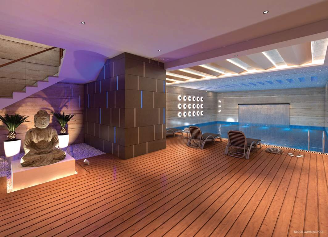  earth allyssum Swimming Pool