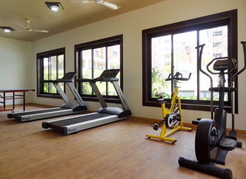  greens phase 3 Gymnasium